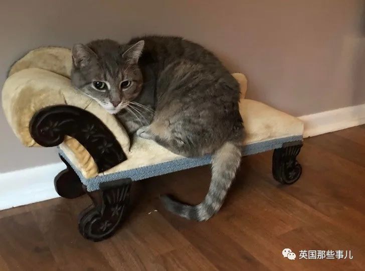 旧货市场淘到有趣的东西,网友们在旧货店发现的各种宝贝