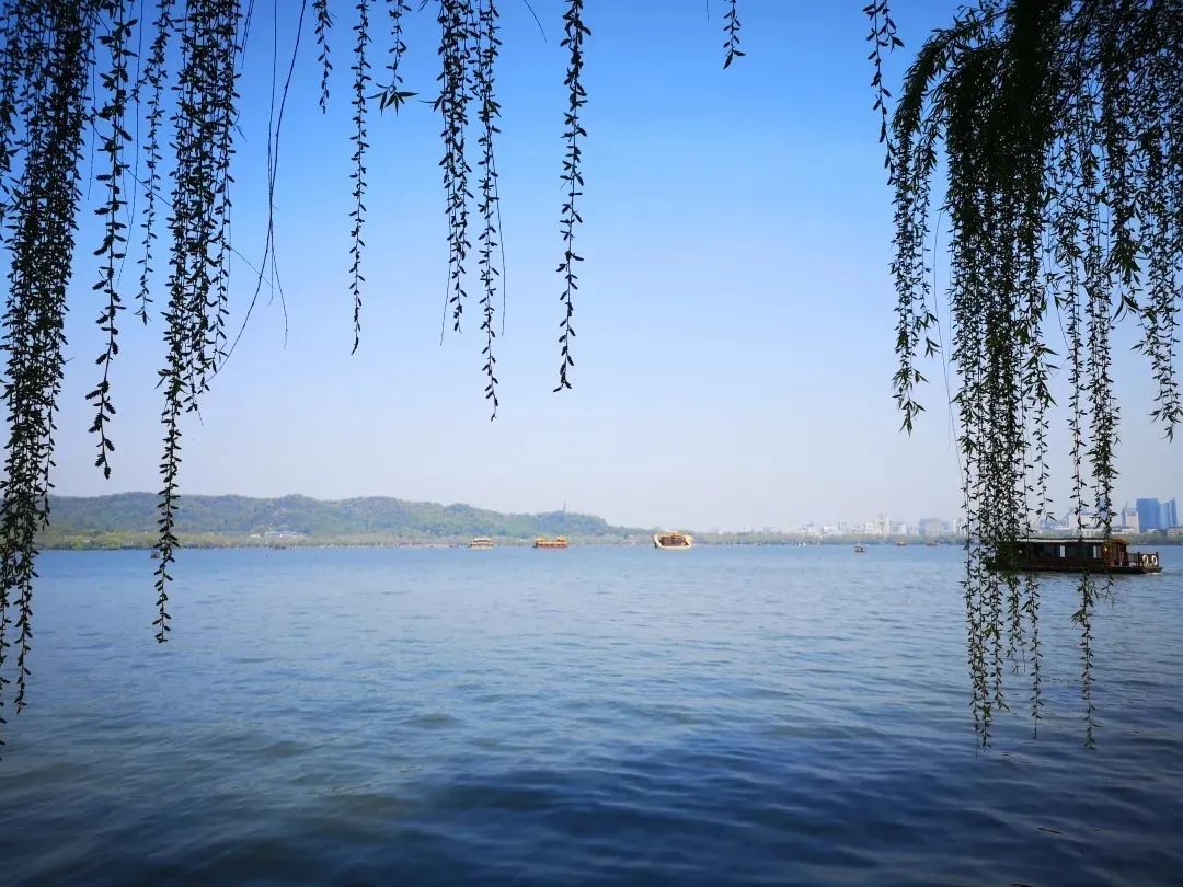 且听风吟且看花开,且听风吟看花开