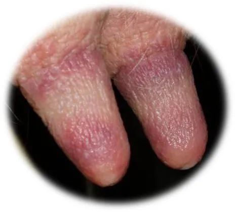 奶牛养殖技术难题及答案,奶牛接产常见问题