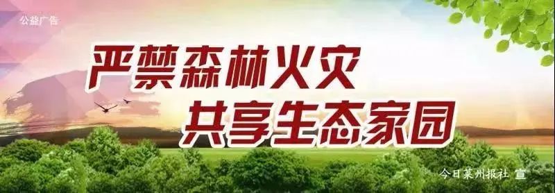 山东莱州交警最新通告,山东莱州交警最新通知