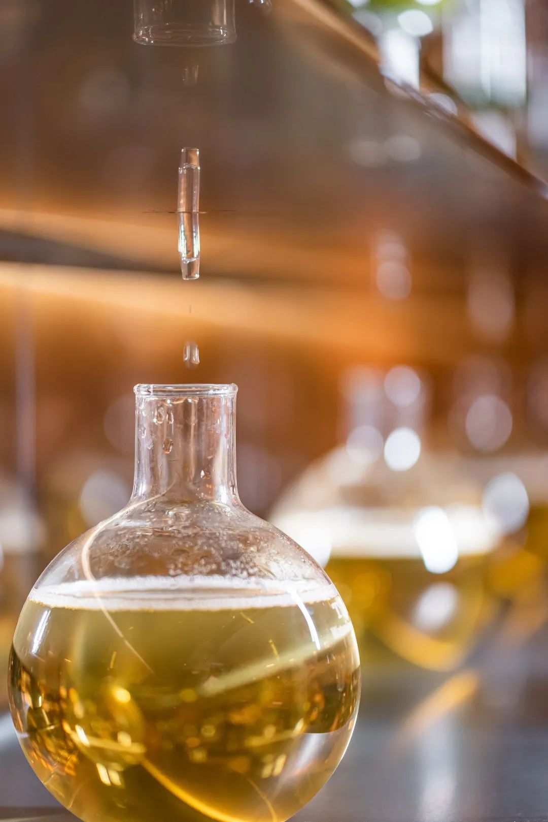 深圳奶茶多少钱一杯,深圳富豪茶餐厅