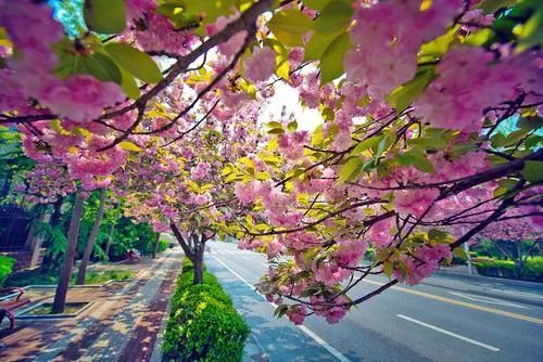 珍惜现在天气晴朗风和日丽,珍惜晴好天气