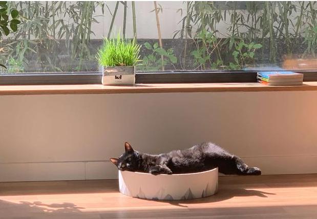 赵子琪晒娃日常,赵子琪晒娃视频完整版