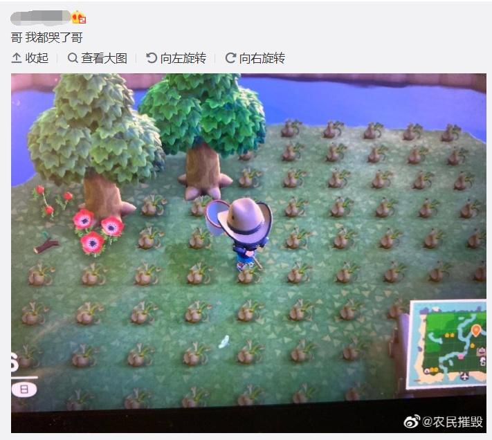 玩动森挣人民币,动森赚钱变现