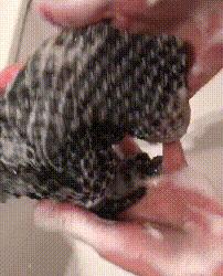 无痛搓泥|日系变态搓澡巾！轻轻搓一搓，泥条劈里啪啦的掉