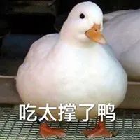 29元的乳酸菌推荐,1元秒杀乳酸菌