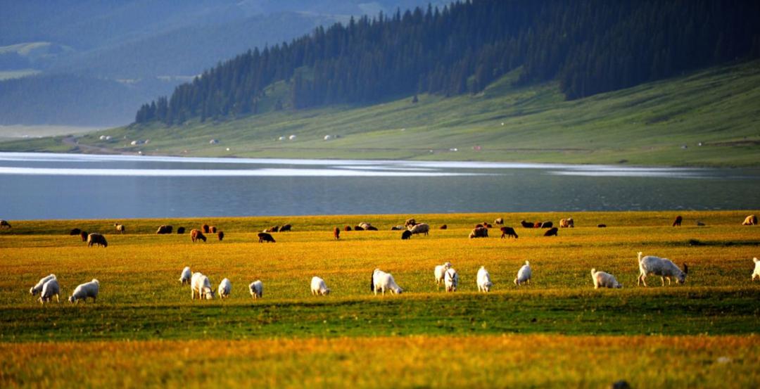 北疆的水美,北疆的美歌曲完整版