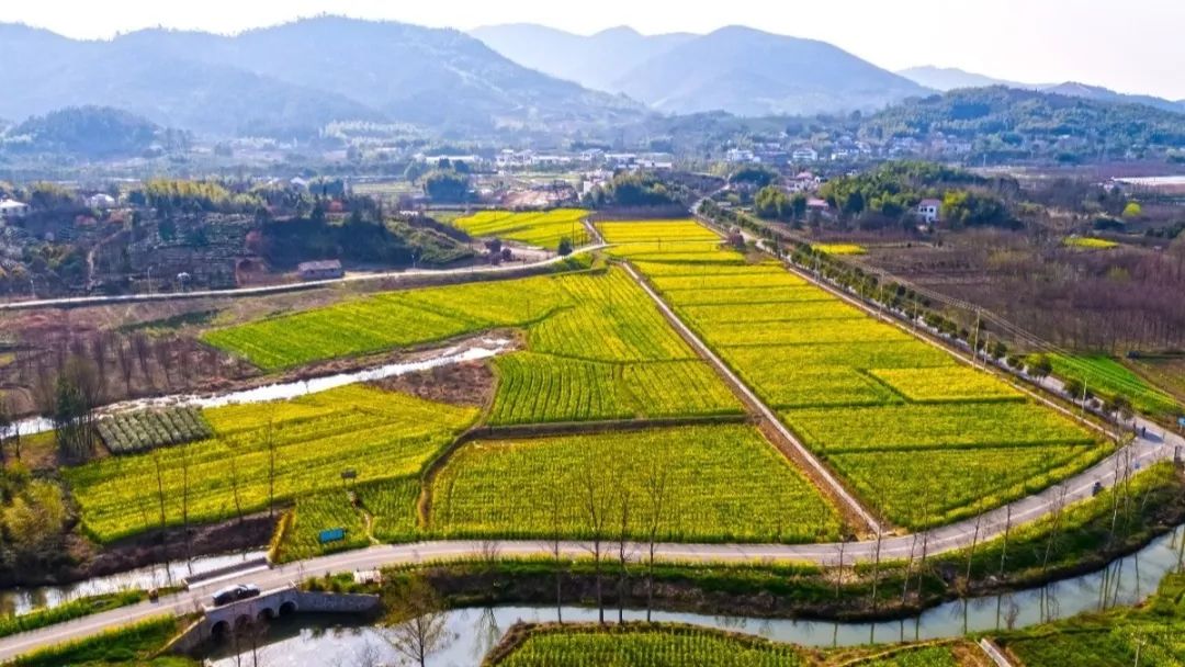 常州周末旅游景点推荐,常州最美乡村