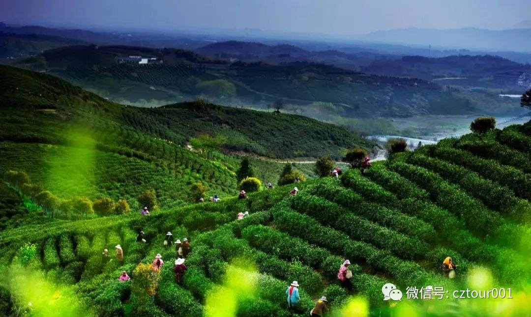 常州周末旅游景点推荐,常州最美乡村