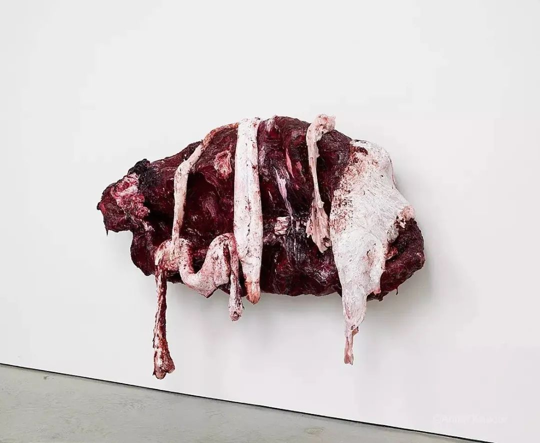 卡普尔来了，却没有人真正看懂他