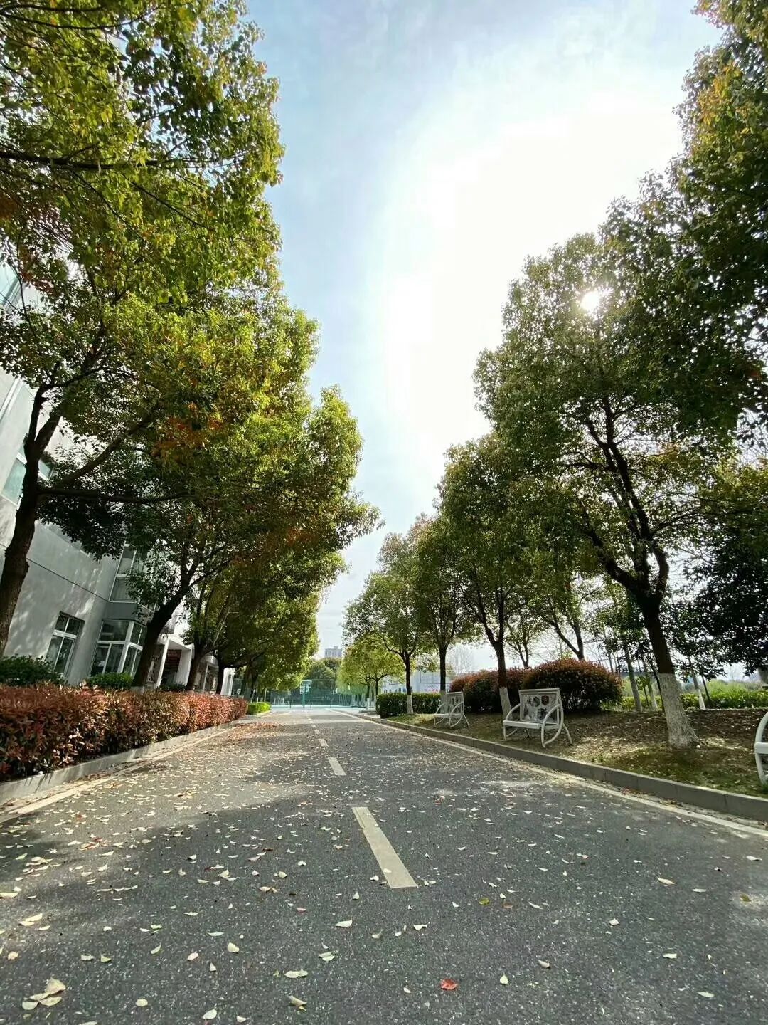 四月校园联谊,四月相聚