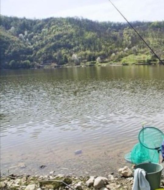 钓大草鱼如何起竿,钓大草鱼诀窍揭秘