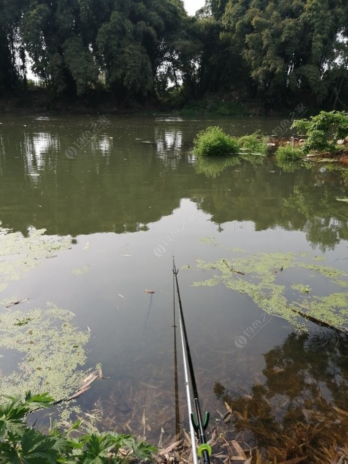 北方11-12月野钓策略,冬季野河野钓思路