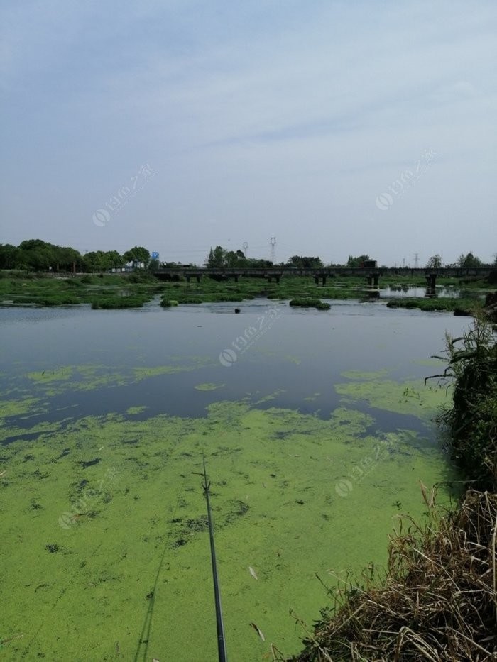 北方11-12月野钓策略,冬季野河野钓思路