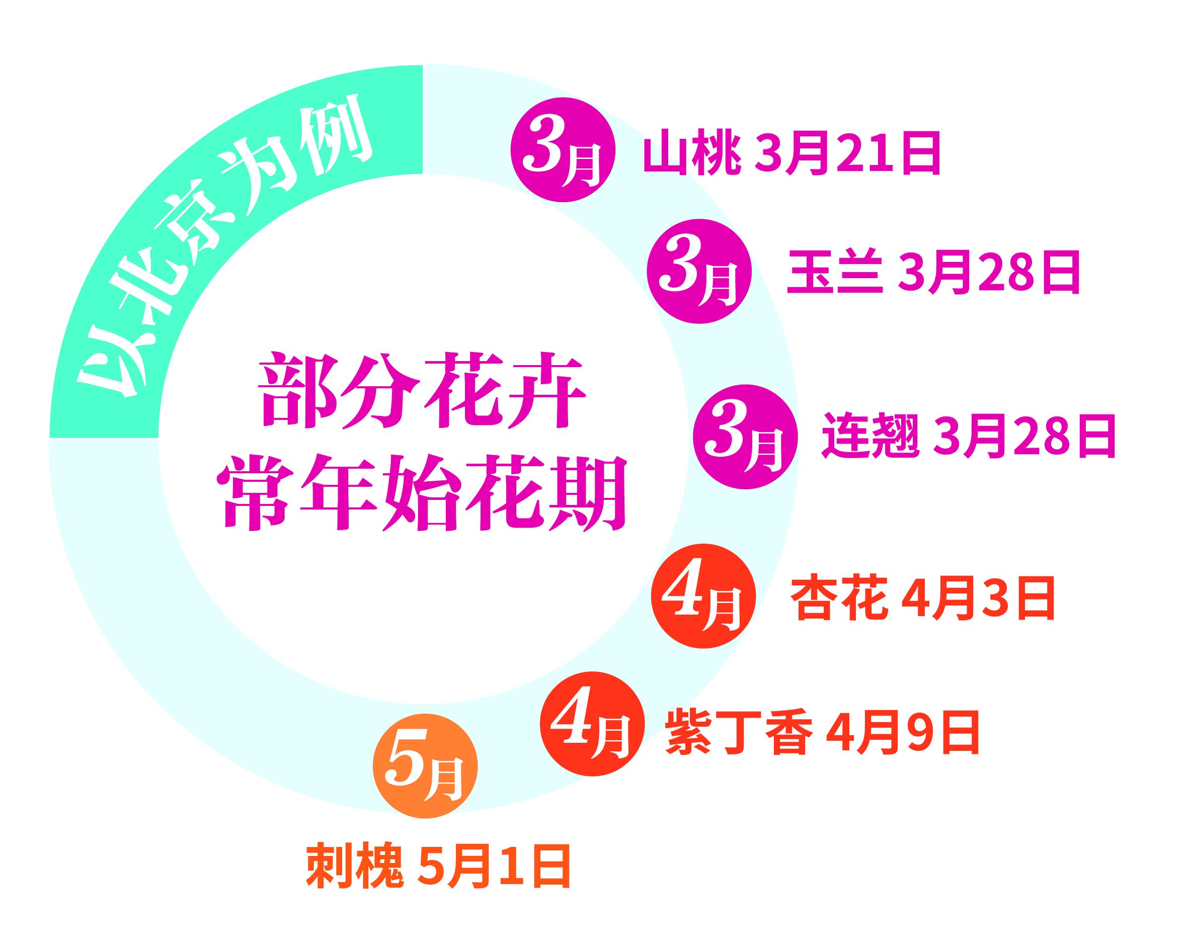 搭乘开往春天的列车,搭乘春天的列车