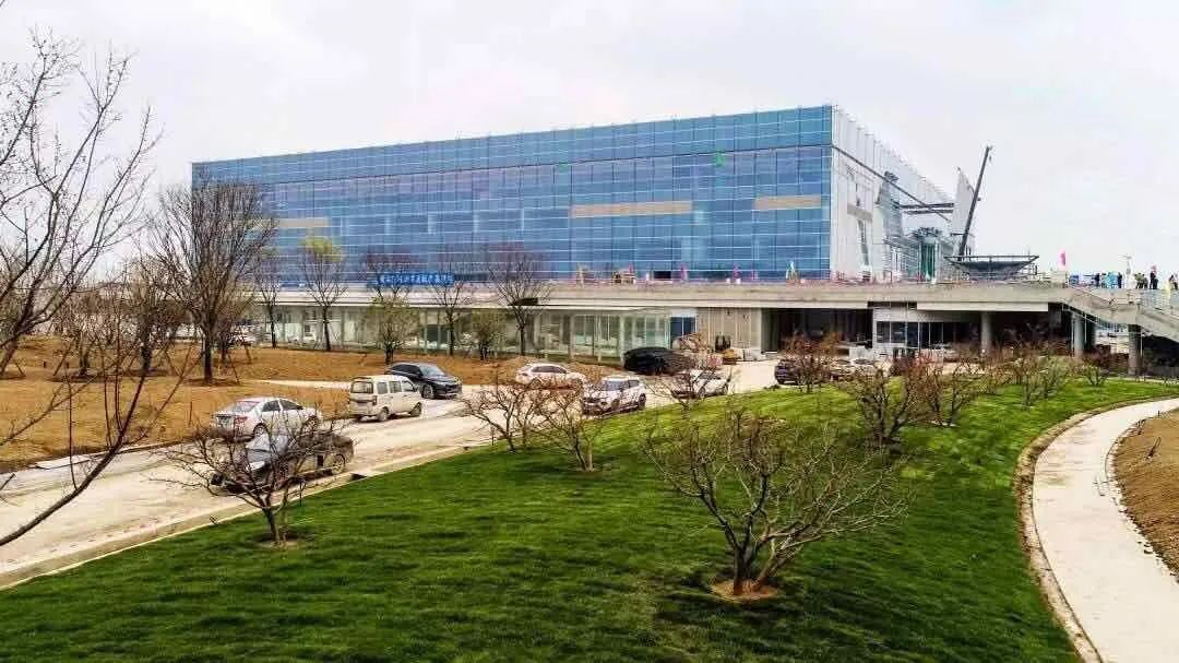 奥体热搜Top8,安安一次全回答~