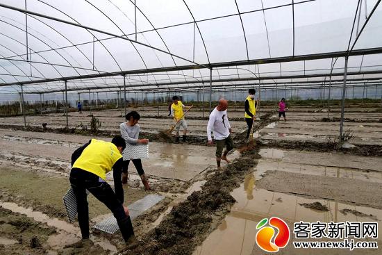 全南：沃野田畴染新绿