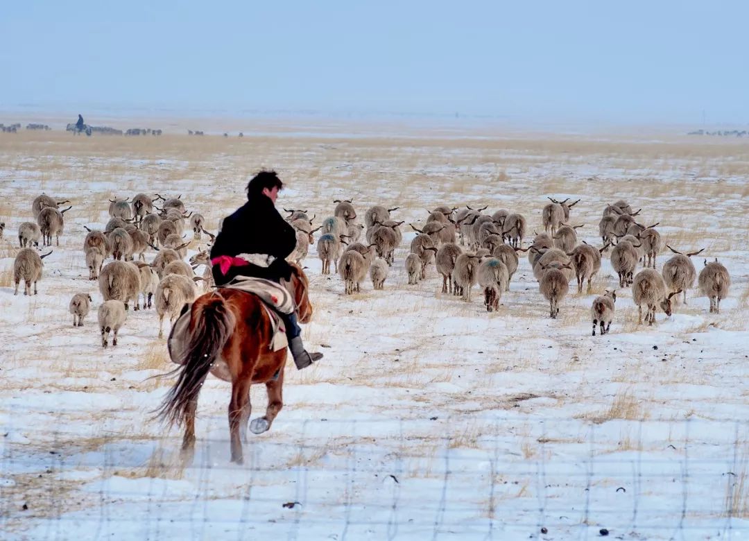 航拍阿坝农村视频,阿坝风景全景视频