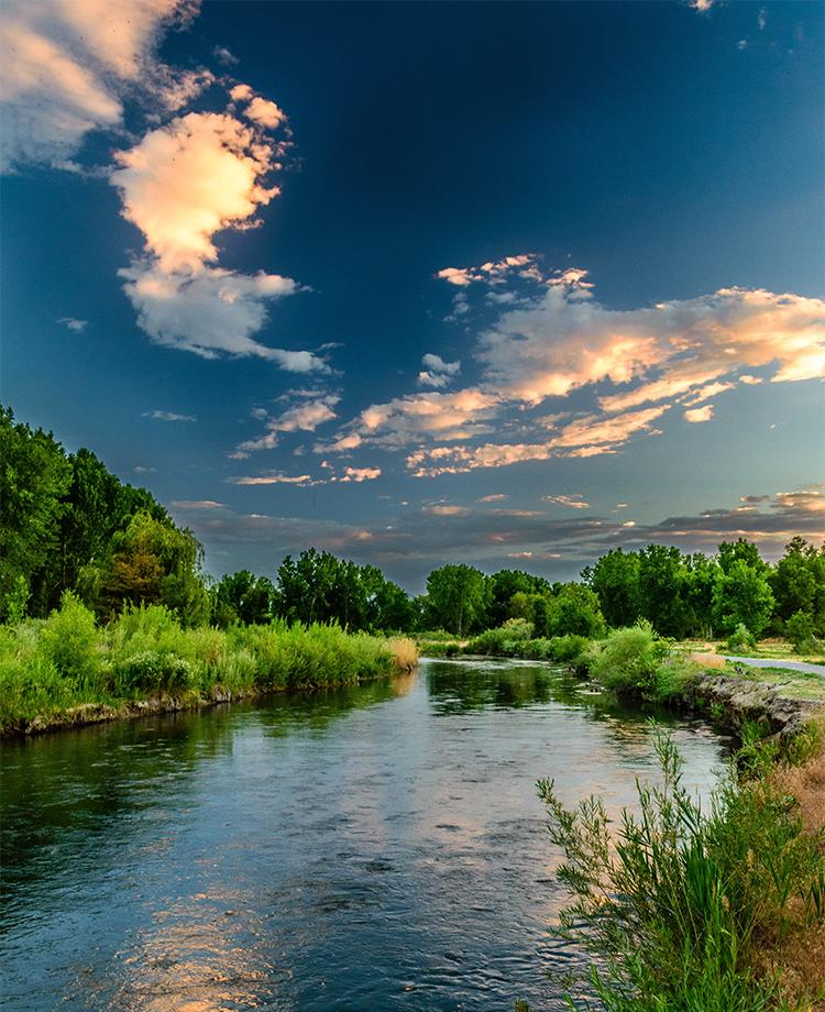 茶香禅韵入梦完整视频,世外桃源神仙度假地