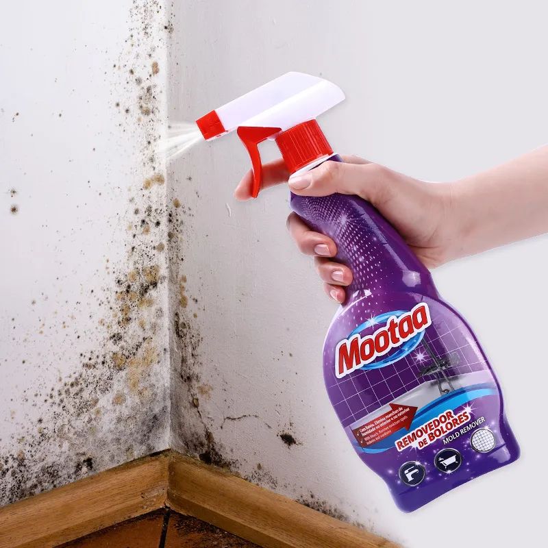 除霉神器,哪些好用又便宜的去霉神器