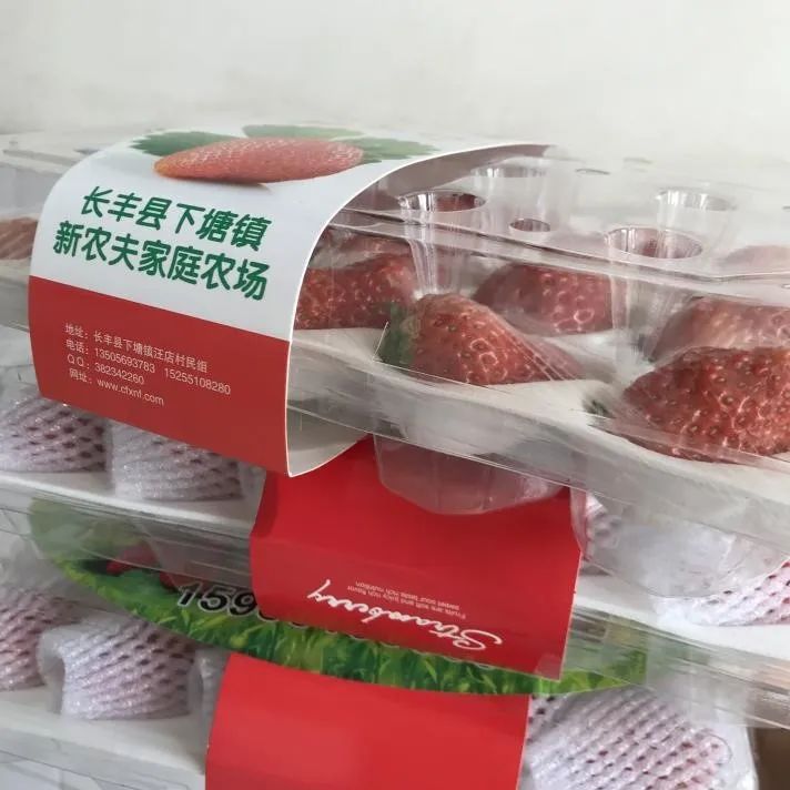 桂子山上的六名“小代购”赞！赞！赞！