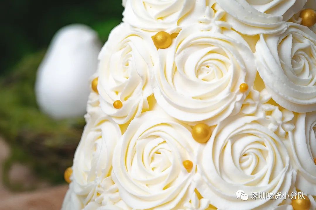 郑州奈雪蛋糕店,奈雪深圳旗舰店