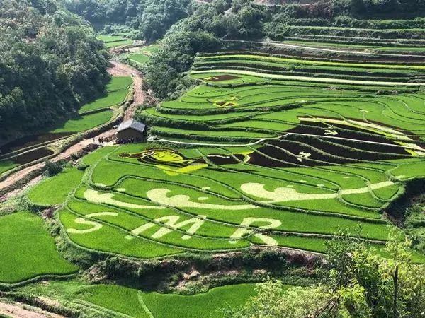 昆明春城秀游玩攻略,昆明不为人知景点