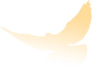 广东法制盛邦律师事务所怎么样,法治盛邦律师事务所