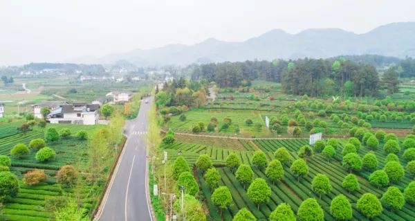 贵州a级景区对8省市游客免门票,贵州a级景区免门票的有哪些
