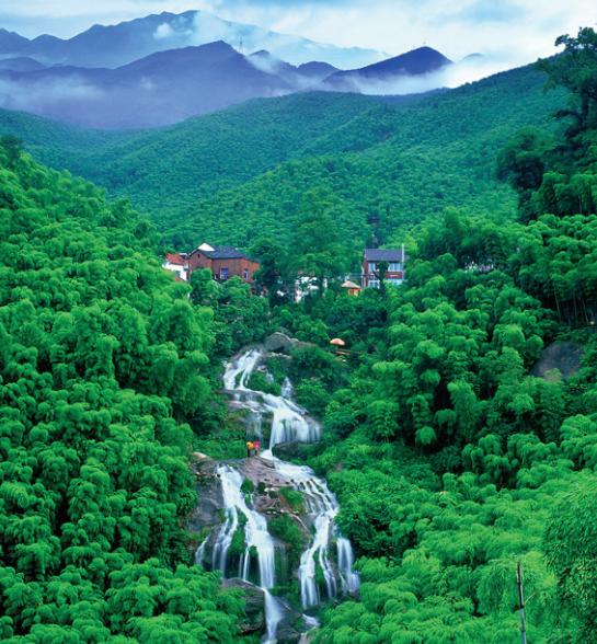 登高望远、饮茶赏花，一起去寻觅春的尾巴~