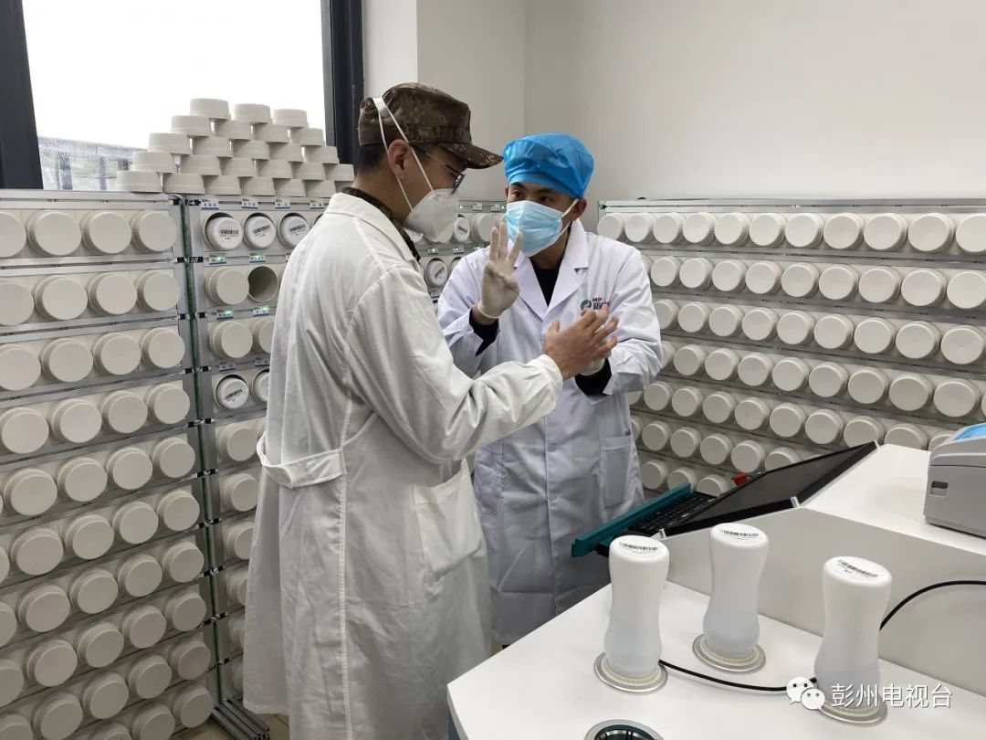 天府中药城满产率现已达86%！少不了这群“兼职”帮手“干的好事”