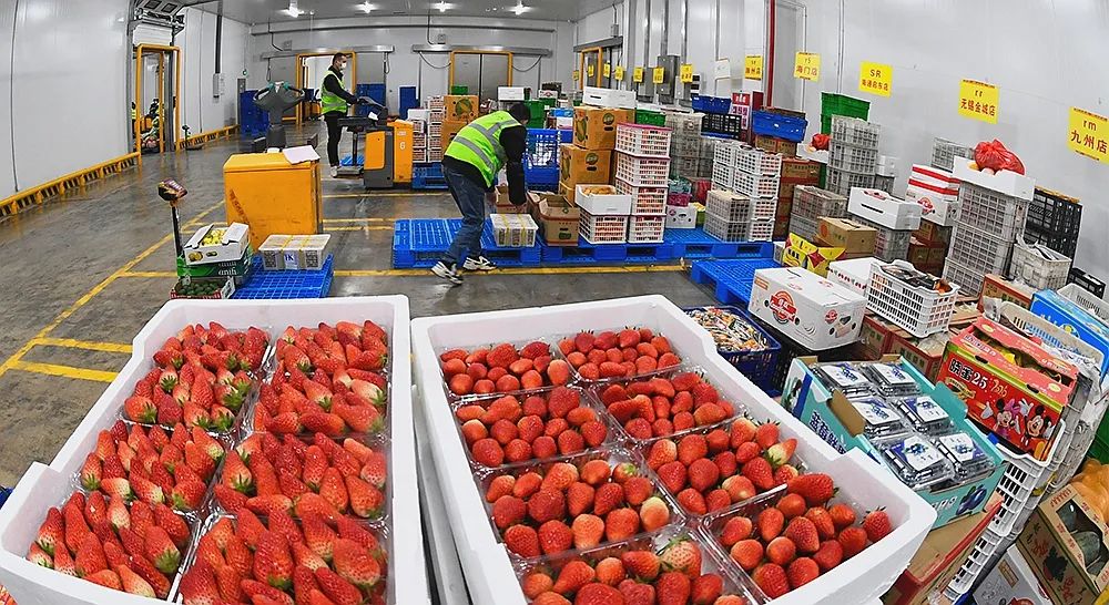 这一仗打好，淮安人吃喝不愁！