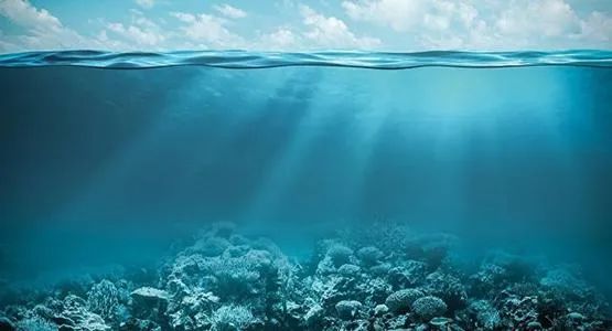 鼻炎太折磨人了怎么治呢,鼻炎折磨人吗