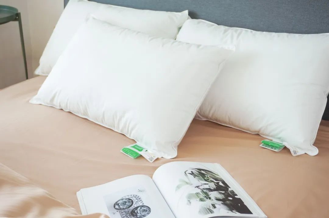 给五星酒店供货的德国大牌枕头,这里不到百元就能买到