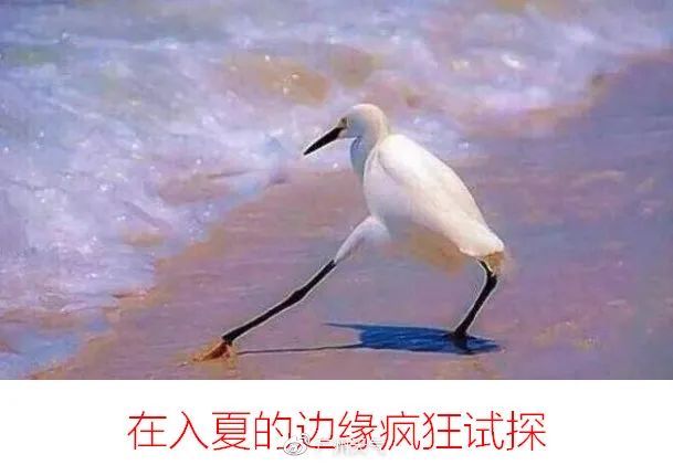 女人体内查出活虫只因一个菜,女子体内取出活虫只因爱吃