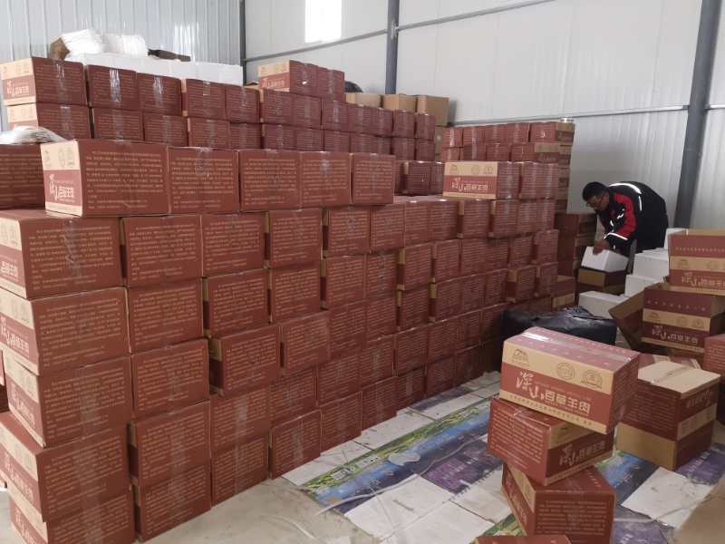 “拼团+直播”助农新电商打造“羊名片”环县县长“吃播”卖羊肉在线售出18203斤