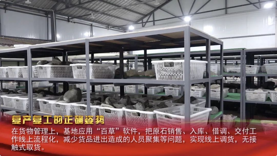 远程办公、公司蔬菜代购服务|这波复产复工姿势你get了吗？