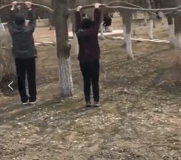 「二三里早八点」把树杈当单杠,德惠公园大爷大妈锻炼方式太奇葩