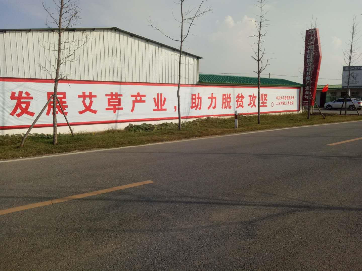 社旗县大冯营镇,社旗大冯营镇