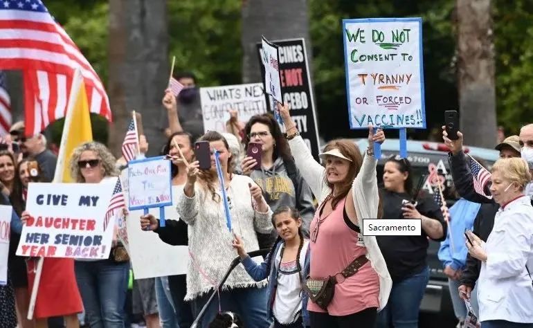 疫情下的美国日记丨陈丽华：加州四月槐花香