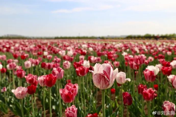 天津小众打卡地,天津五一人少的好玩景点