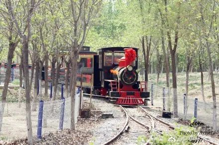 天津小众打卡地,天津五一人少的好玩景点