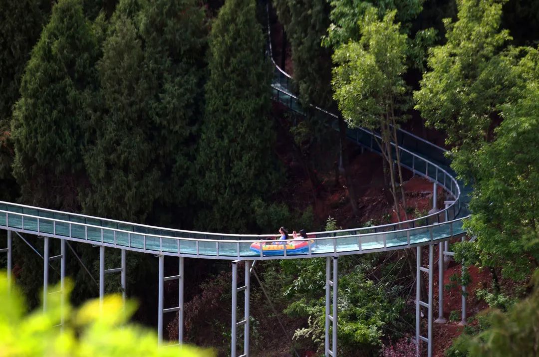 成都一日游打卡必备,成都网红打卡景点一日游