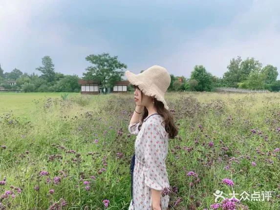 成都一日游打卡必备,成都网红打卡景点一日游