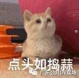 发了几条微信朋友圈共判赔80万元,在微信朋友圈发胜诉判决违法吗