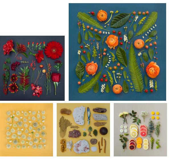 治愈强迫症游戏,治愈强迫症最佳疗法