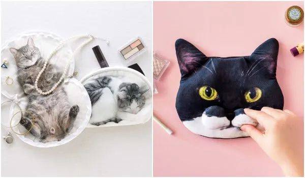 猫奴的春天!日本这家公司专门打造出「猫奴公寓」,每一处设计都超贴心