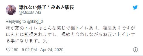 猫奴的春天!日本这家公司专门打造出「猫奴公寓」,每一处设计都超贴心