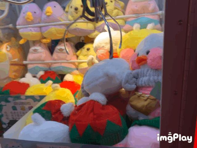 小鲁哥携手万小汇直播探店！小米手环、蒂佳婷面膜走到哪送到哪