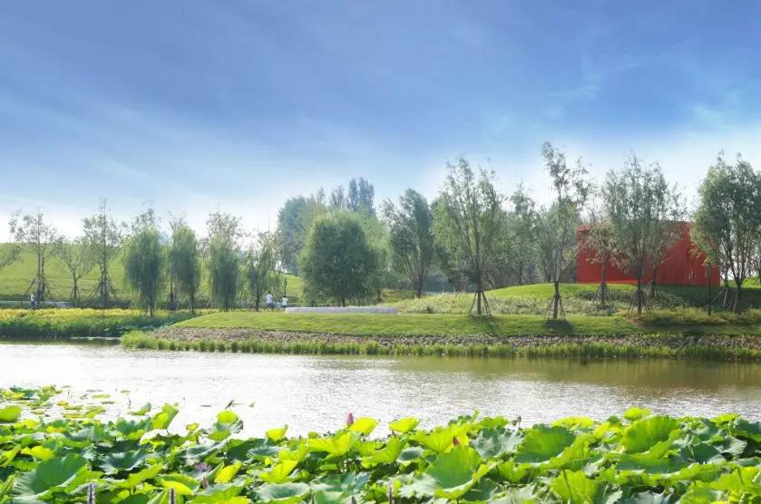 郑州五一值得打卡去处,郑州最值得去玩的地方